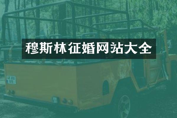 穆斯林征婚网站大全