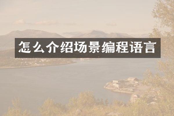 怎么介绍场景编程语言