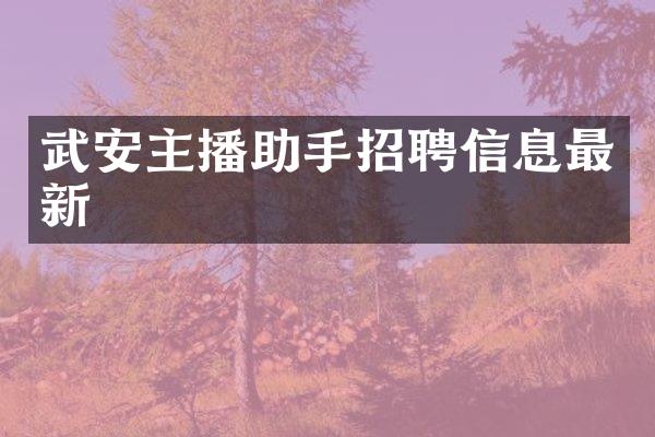 武安主播助手招聘信息最新