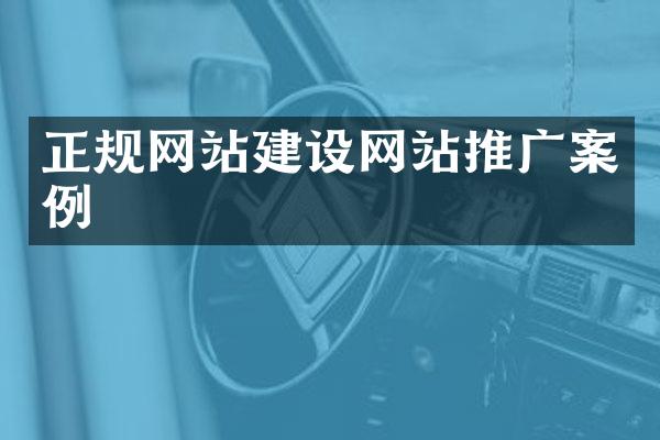 正规网站建设网站推广案例