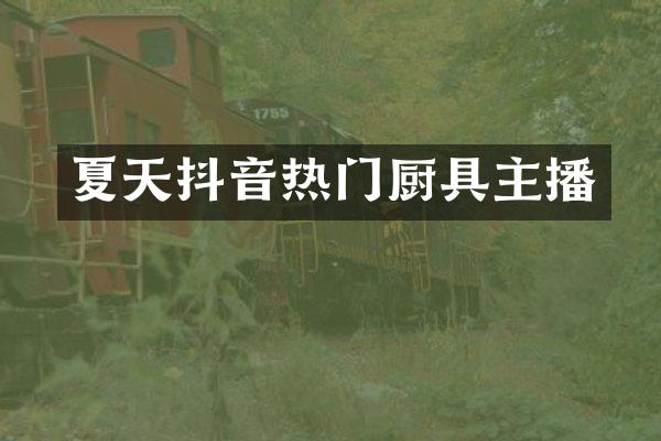 夏天抖音热门厨具主播