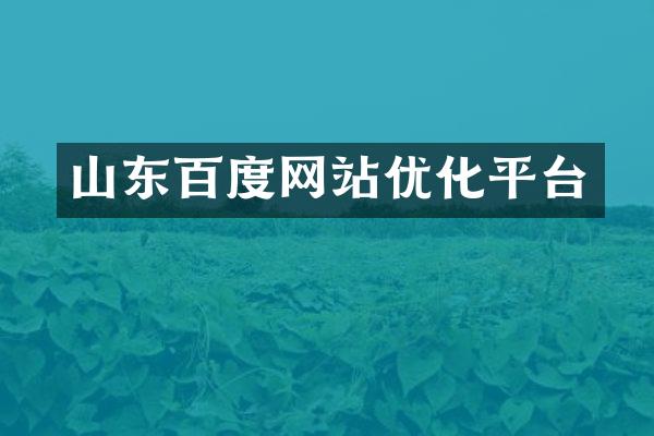 山东百度网站优化平台