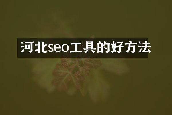 河北seo工具的好方法