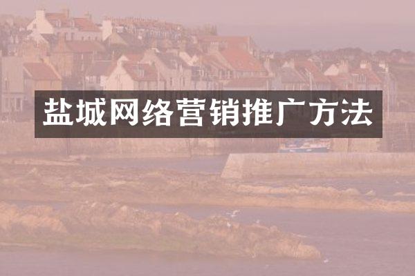 盐城网络营销推广方法