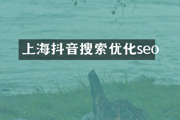 上海抖音搜索优化seo