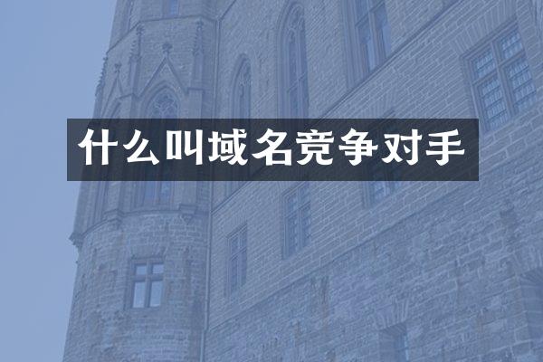 什么叫域名竞争对手