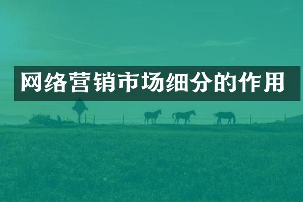 网络营销市场细分的作用