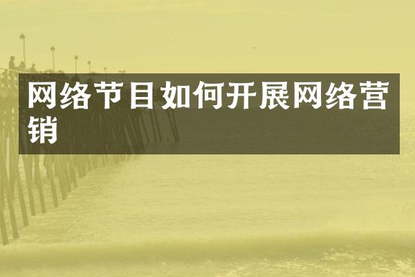 网络节目如何开展网络营销