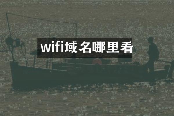 wifi域名哪里看