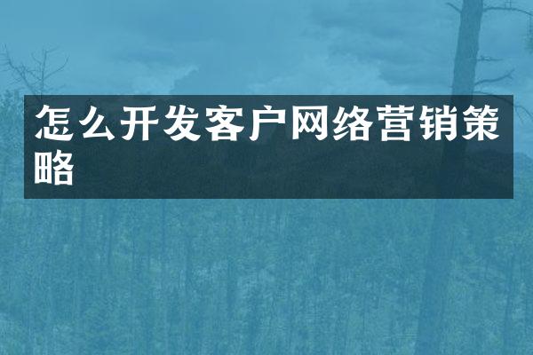 怎么开发客户网络营销策略