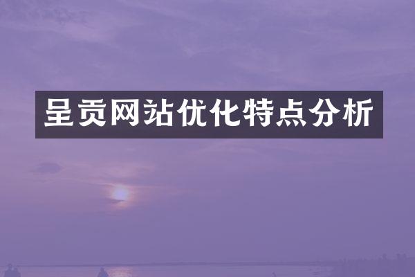 呈贡网站优化特点分析