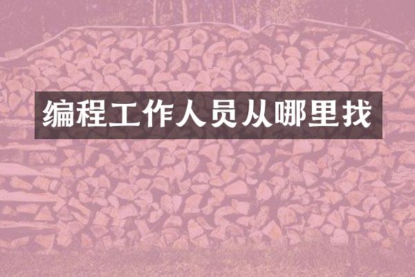 编程工作人员从哪里找
