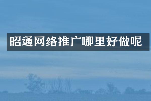 昭通网络推广哪里好做呢