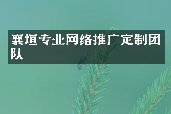 襄垣专业网络推广定制团队