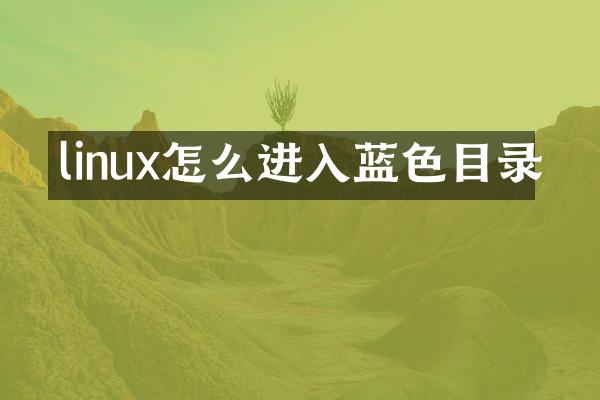 linux怎么进入蓝色目录