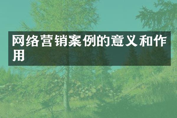 网络营销案例的意义和作用