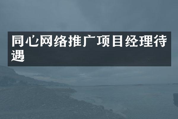 同心网络推广项目经理待遇