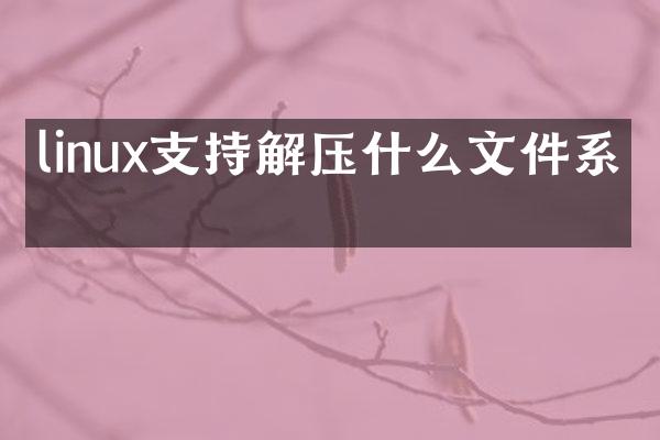 linux支持解压什么文件系统