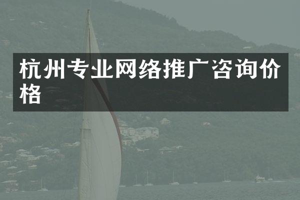 杭州专业网络推广咨询价格