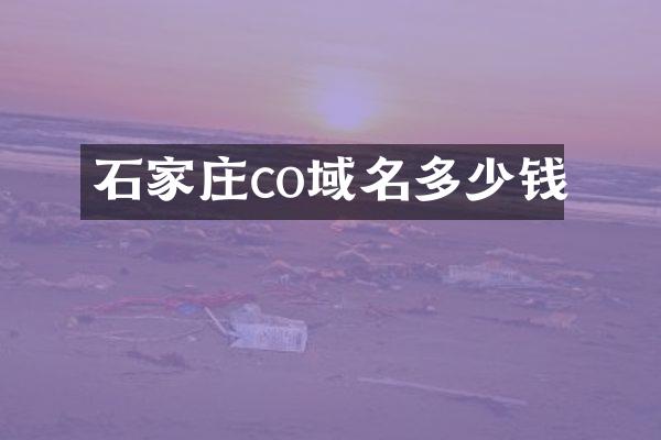 石家庄co域名多少钱