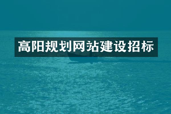 高阳规划网站建设招标