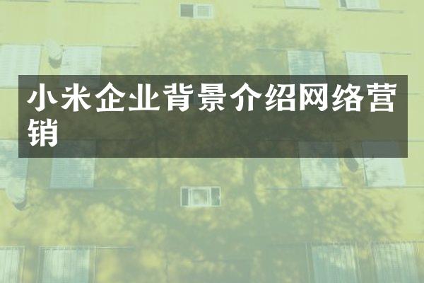 小米企业背景介绍网络营销