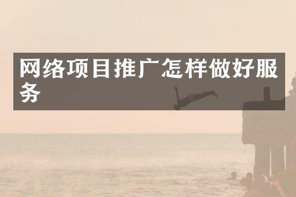 网络项目推广怎样做好服务