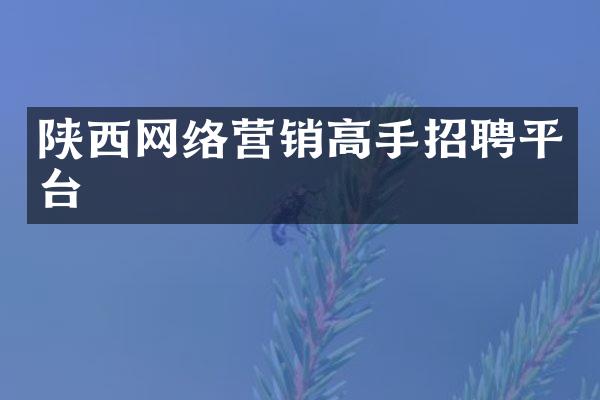 陕西网络营销高手招聘平台