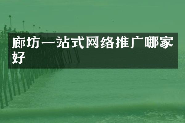 廊坊一站式网络推广哪家好