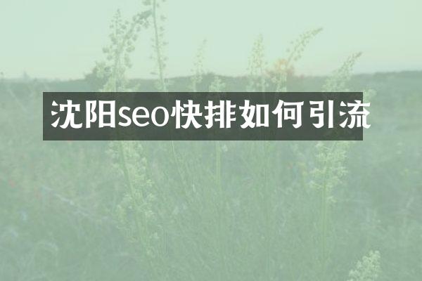 沈阳seo快排如何引流