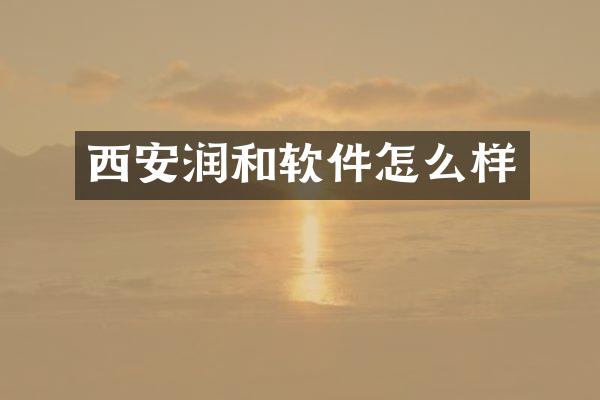 西安润和软件怎么样