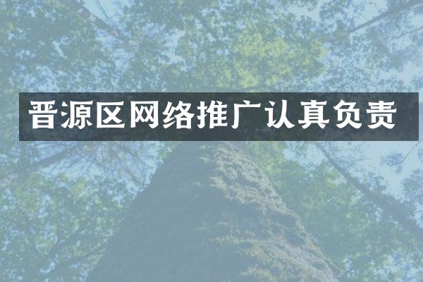 晋源区网络推广认真负责