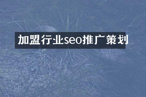 加盟行业seo推广策划