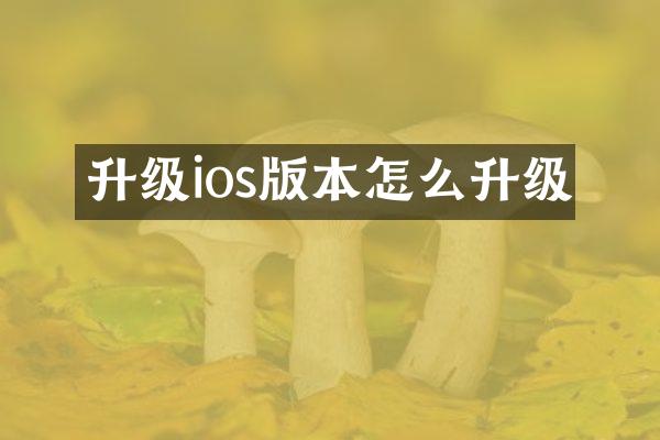 升级ios版本怎么升级