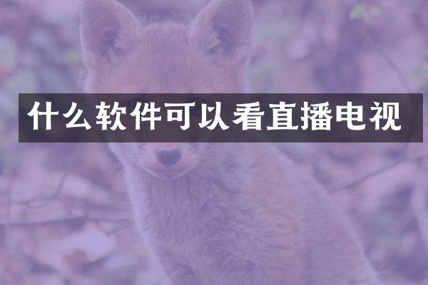 什么软件可以看直播电视