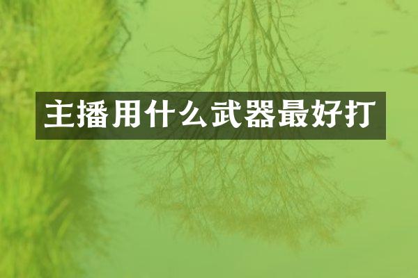 主播用什么武器最好打