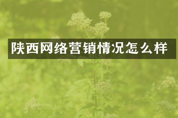 陕西网络营销情况怎么样
