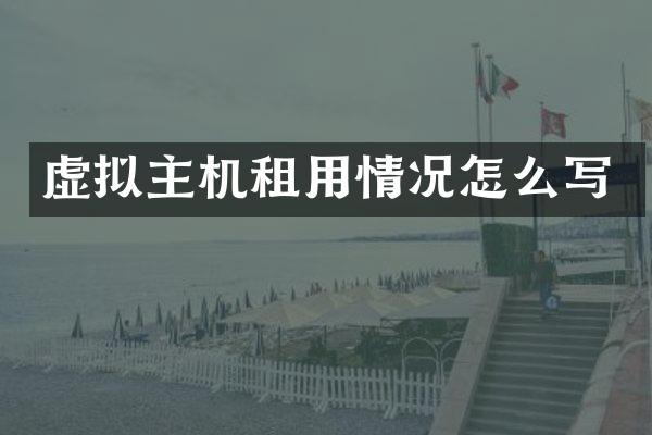 虚拟主机租用情况怎么写