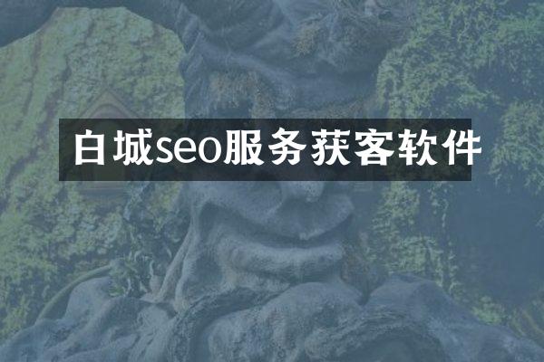 白城seo服务获客软件