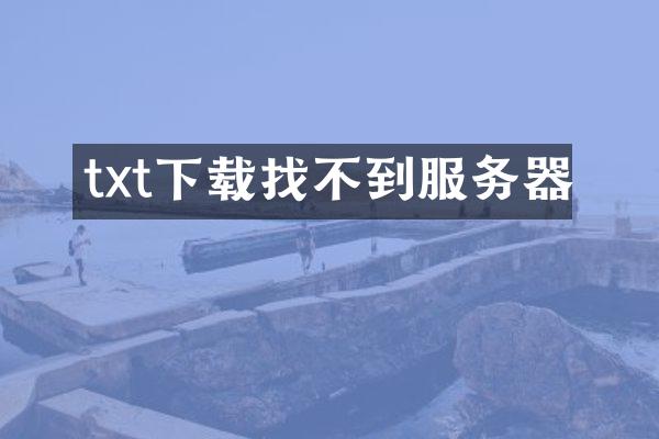 txt下载找不到服务器