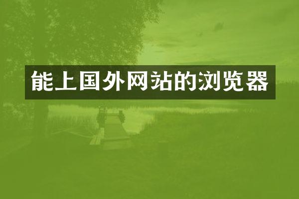 能上国外网站的浏览器