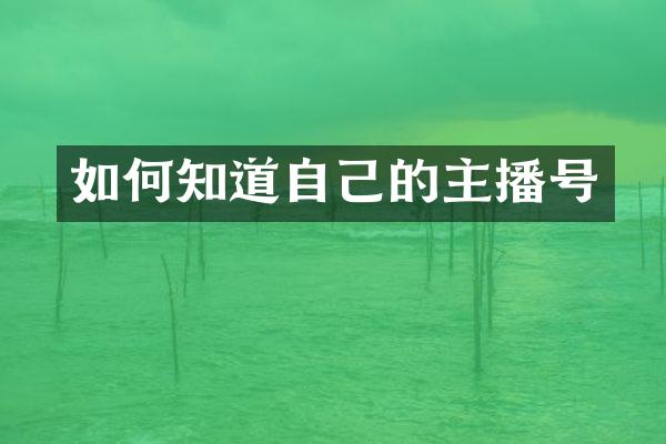 如何知道自己的主播号