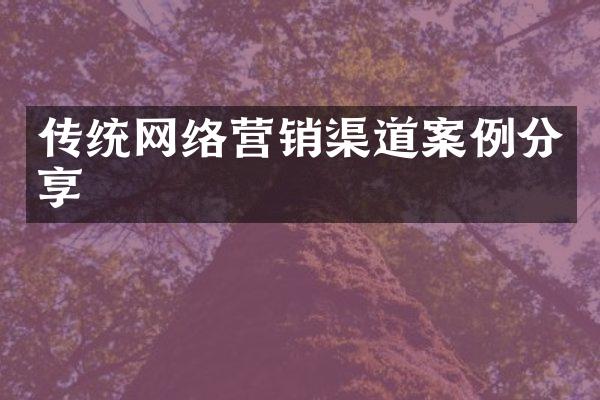 传统网络营销渠道案例分享
