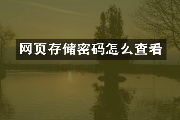 网页存储密码怎么查看
