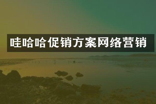 哇哈哈促销方案网络营销