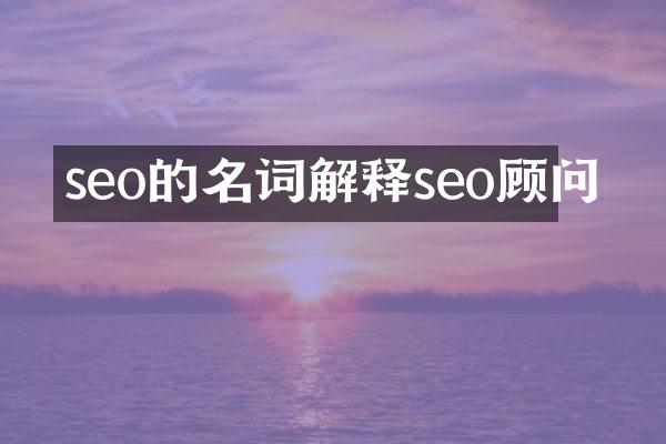 seo的名词解释seo顾问