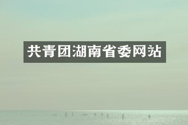共青团湖南省委网站