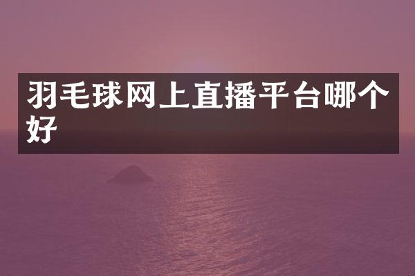 羽毛球网上直播平台哪个好