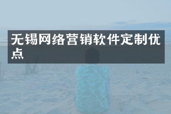 无锡网络营销软件定制优点