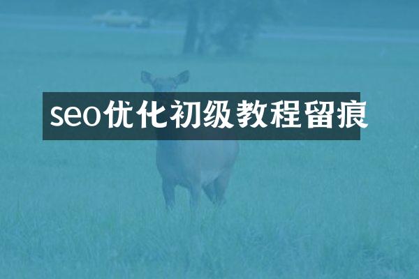 seo优化初级教程留痕